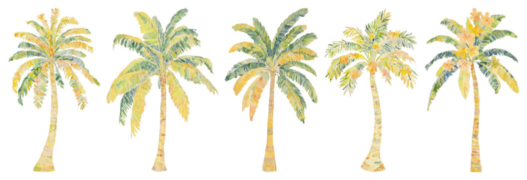 PNG Watercolor palm trees illustration, transparent background