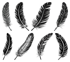 Obraz premium PNG Elegant black feathers gracefully arranged, transparent background