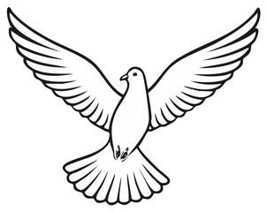Outlined Dove with Spread Wings