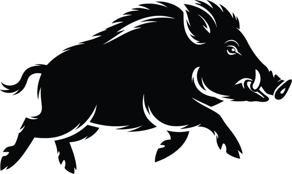 Black boar vector illustration