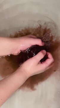 Children hands lower a bath bomb into water. The bath bomb begins to fizz, foam, and dissolve, coloring the water. The scene takes place indoors during a bathing routine.