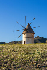 Traditional windmill in a wildflower field with mountains under a clear blue sky