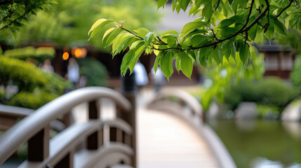 Lush green Japanese maple bonsai by a wooden bridge railing overlooking a calm garden pond, blurred walker in the background creating a peaceful, harmonious landscape scene