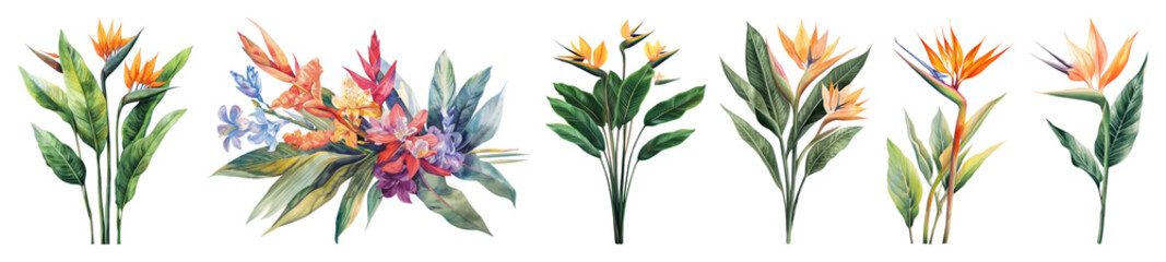 PNG Tropical flowers vibrant decorative border, transparent background