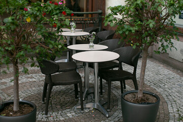 Fototapeta premium Empty outdoor cafe tables and chairs, cobblestone pavement lined with potted trees and planters, wicker seating around round bistro tables, subdued