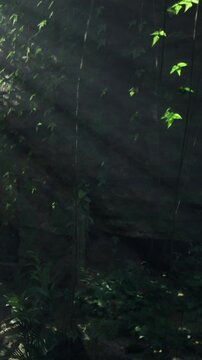 Sunlight filters through trees in a thick forest. Green leaves hang from branches. The ground is covered with plants and shadows are cast on rocks. Nature is alive with light and growth.