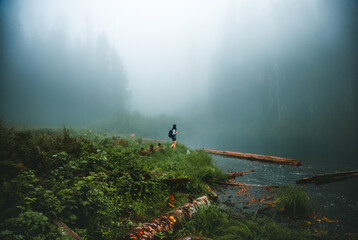 Naklejka premium Woman Hiking Along Foggy Shore of Independence Lake in Washington State