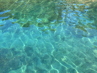 Fototapeta premium Ocean turquoise water with underwater seaweed.