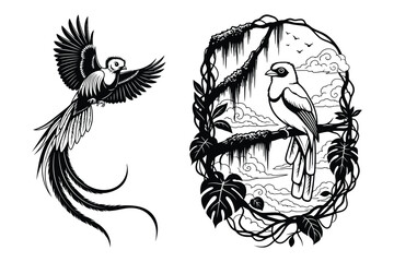 Fototapeta premium Exotic Birds in Tropical Foliage Illustration