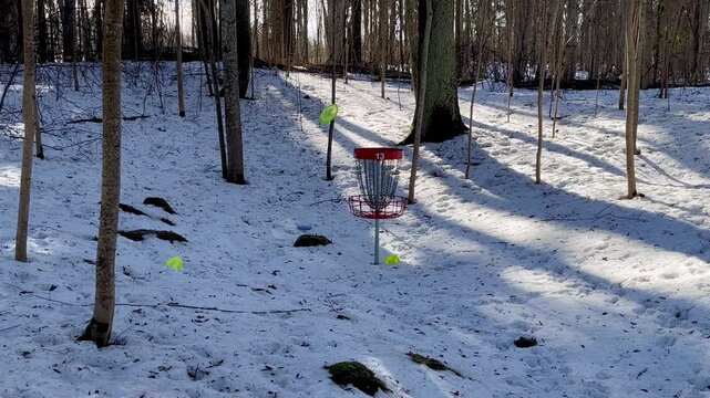 Disc golf basket number thirteen on snowy forest course with flying disc missing the target and landing on snow during late winter game in Malnava Latgale Latvia