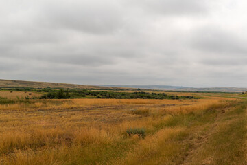 Open Prairies and Distant Buttes in Grasslands National Park