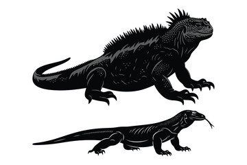 Fototapeta premium Marine Iguana and Komodo Dragon Vector Illustration