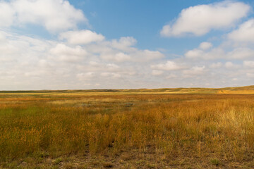 Fototapeta premium Mixed Grass Prairie Under a Blue Sky With Puffy Cloud