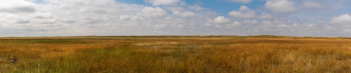 Expansive Prairie Panorama Under a Blue and Cloud‑Filled Sky
