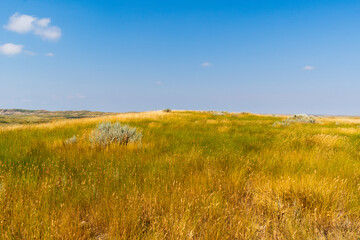 Fototapeta premium Badlands Ridge Framed by Prairie Grass