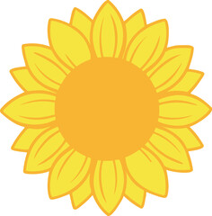 Bright yellow sunflower with outlined petals on a white background