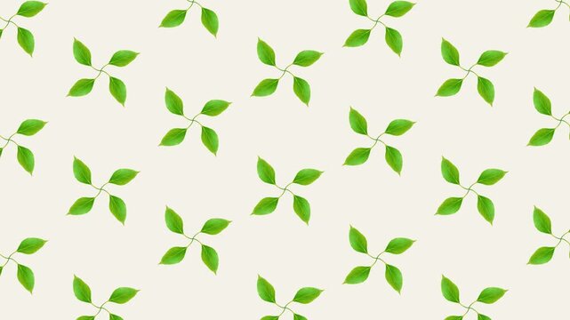 Subtle Rotating Leaf Pattern Background with Gentle Organic Motion, Seamless Botanical Nature Texture Loop, Minimal Eco Green Leaves Wallpaper Animation
