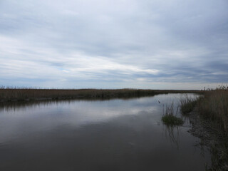 The scenic beauty of the wetlands within the Bombay Hook National Wildlife Refuge, Kent County, Delaware. Spring season, low light, cloudy day.
