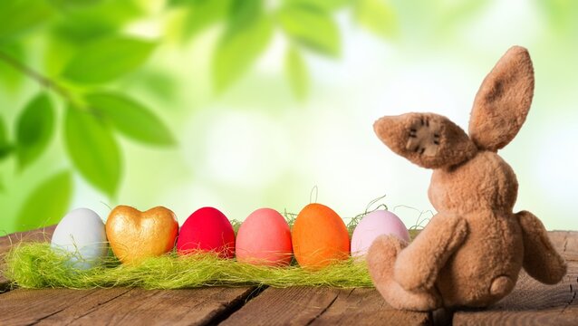 Easter bunny and fresh flower on the desk