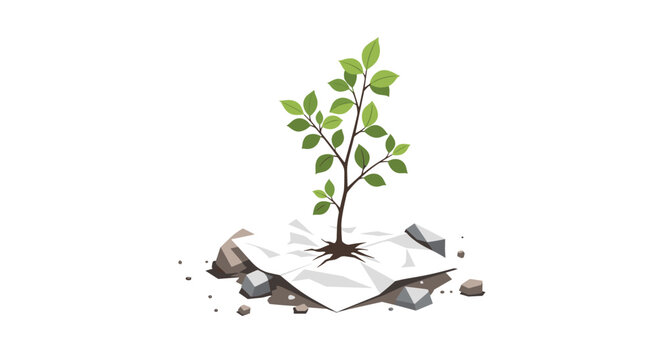 A small green sapling with multiple leaves grows from a crumpled white paper, surrounded by several grey rocks on a pristine white background.
