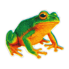 Obraz premium PNG Colorful vibrant frog illustration