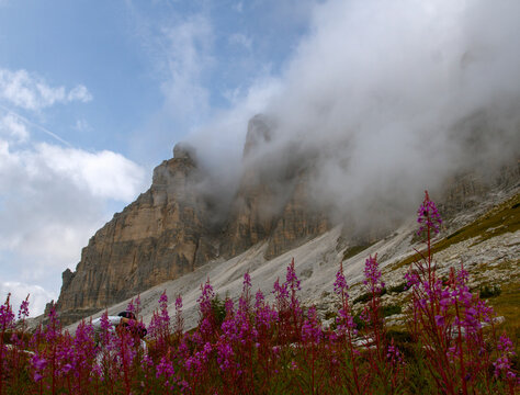 Summer landscapes of the Dolomites. View of the Dolomite peaks shrouded in clouds, flowers in the foreground. Travel and tourism concept.
