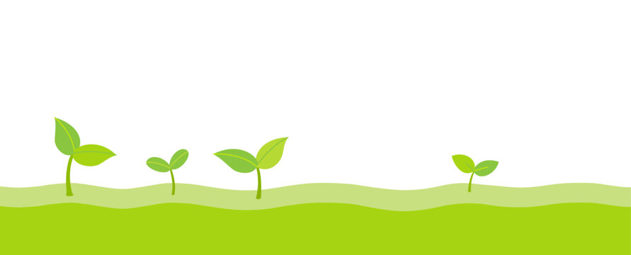 Spring sprouts nature illustration banner.