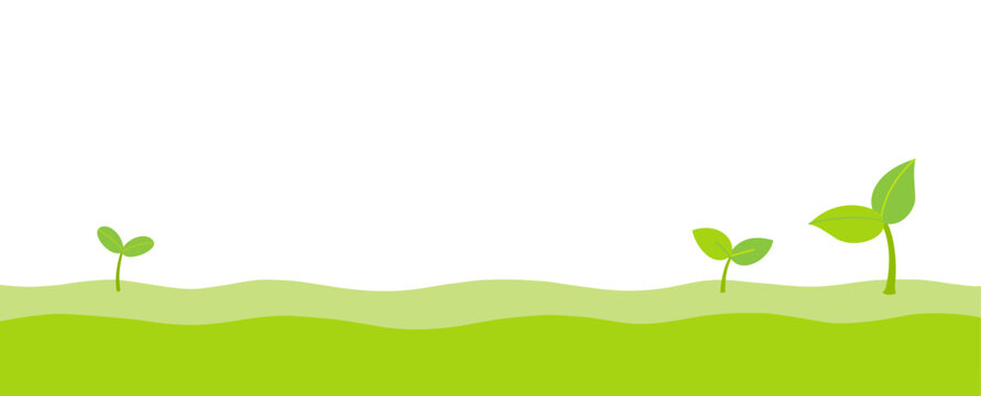 Spring sprouts nature illustration banner.