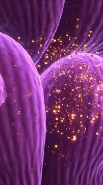 Detailed CGI visualization of activated muscle cells with glowing particles representing metabolic processes after exercise in a dark medical background
