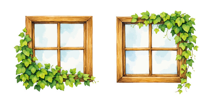 A charming watercolor collection of wooden window frames with climbing ivy vines and green leaves for rustic botanical illustrations and home decor design.
