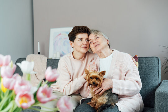 Adult daughter hugging happy senior 70s mother with Yorkshire terriers dog. Mother day. Happy family enjoying weekend together in living room. Spending quality time in retiring house