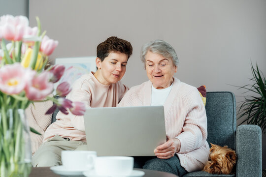 Adult woman explaining senior mother how to use laptop. Education for aged. Retired lady discovering technology for reading news, chatting with family, watching video, online consulting with doctor.