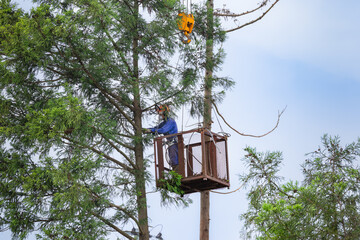 特殊伐採　クレーン伐採の為の吊り型ゴンドラでの玉掛作業