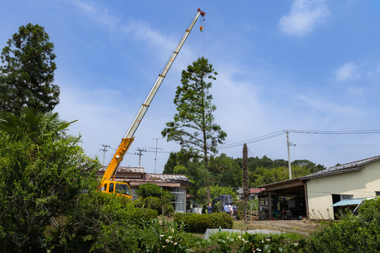 特殊伐採　クレーンで運ばれる伐採樹木