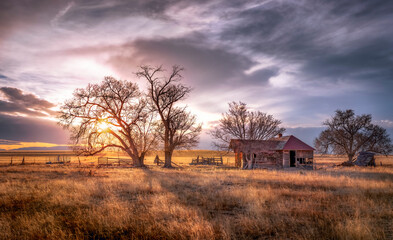 Naklejka premium Old abandoned wooden farmhouse on the prairie at sunset. Colorful clouds float silently in the sky. 