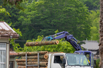 林業機械グリップルアタッチメントによる丸太積み込み作業