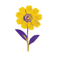 Naklejka premium PNG Vibrant yellow flower illustration.