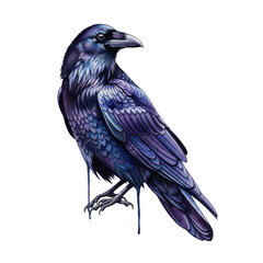 Fototapeta premium Elegant raven perched gracefully on a branch with striking blue and black plumage isolated on transparent background