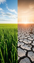 Stark comparison of a vibrant green field versus a cracked, dusty landscape suffering under intense heat waves following prolonged drought, scorched, temperature, hydrated