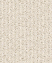 Seamless Light Beige Woven Fabric Surface Texture