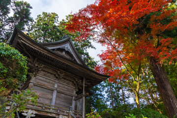 Fototapeta premium 日本の風景・秋 岩手県平泉町 紅葉の世界遺産中尊寺