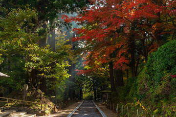 日本の風景・秋　岩手県平泉町　紅葉の世界遺産中尊寺
