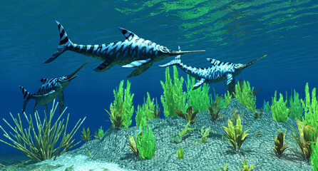 Eurhinosaurus Ichthyosaurs Underwater - Eurhinosaurus was a carnivorous Ichthyosaur reptile that lived in Europe during the Jurassic Period. © Catmando