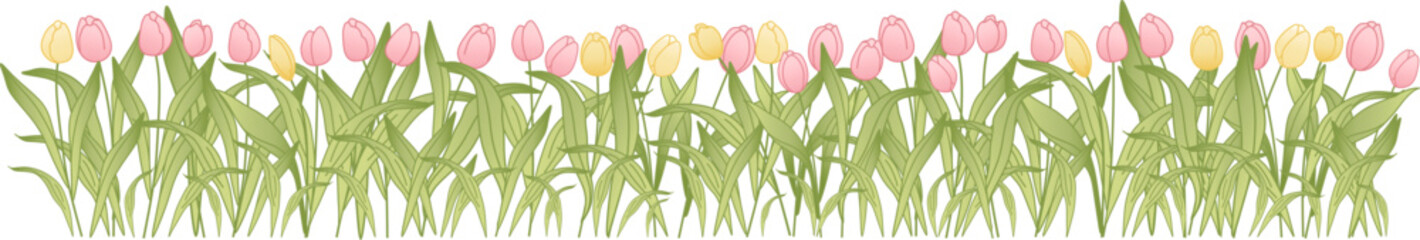 Obraz premium Seamless floral border with delicate pastel pink and yellow tulips. Spring decorative pattern ideal for greeting cards, invitations, packaging, textiles and seasonal design.