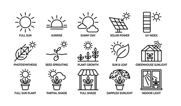 Icons illustrating plant care in various sunlight conditions