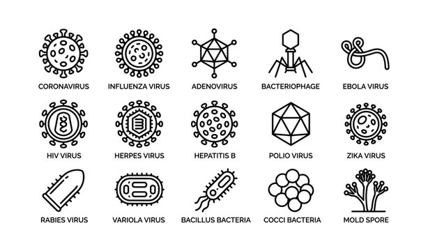 Types of viruses and bacteria: icons of coronavirus, influenza, ebola, hiv, herpes, and more