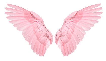 Self-Love Soft Pink Feather Angel Wings mockup isolated on transparent background	