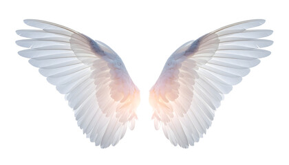 Fototapeta premium Grief Memorial Angel Wings Mockup. Angel wings isolated on transparent background