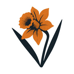 Fototapeta na wymiar PNG Vintage orange daffodil illustration