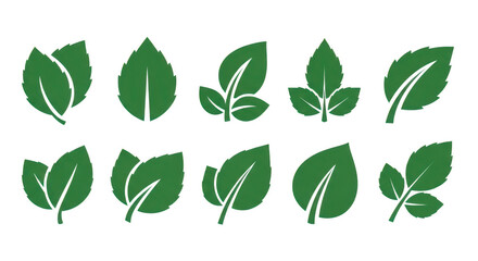 A collection of green leaves on a black background with transparent background